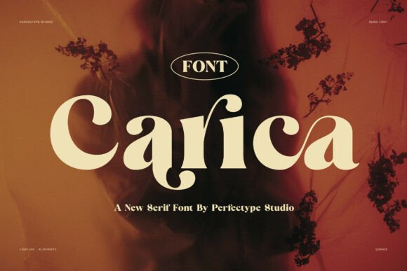 Carica: A Bold Serif Font That Builds Trust and Style