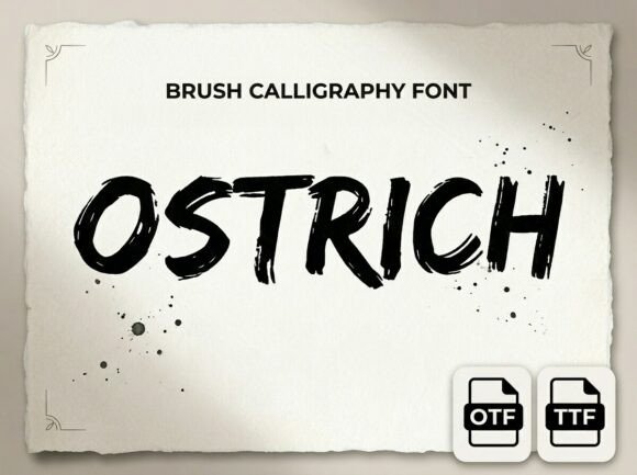 Ostrich Font: A Bold, Memorable Display Typeface for Small Business Branding